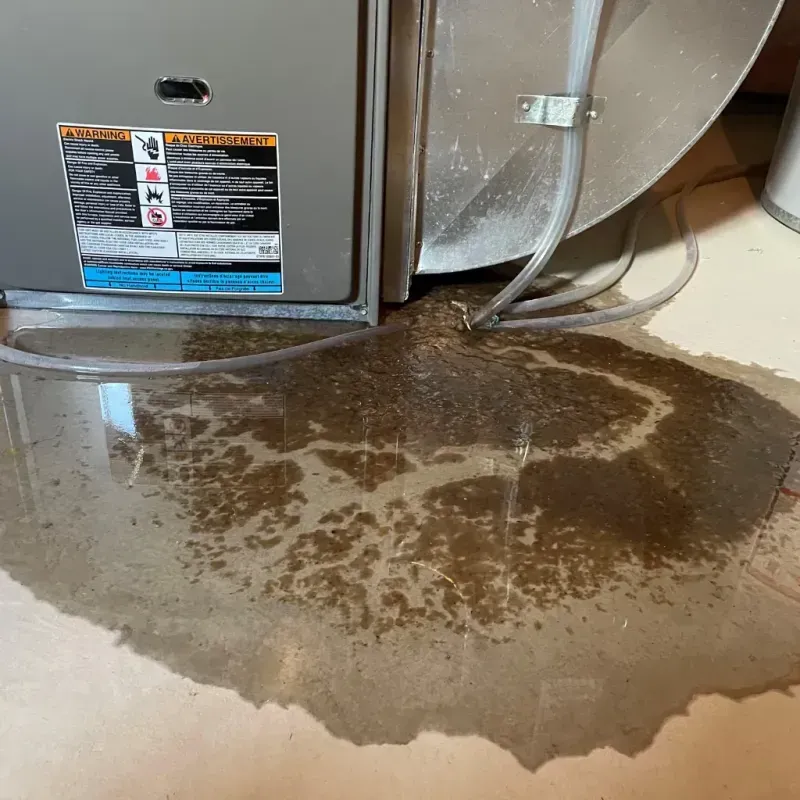 Appliance Leak Cleanup in Nobles County, MN